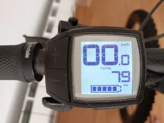 Cannondale Moterra Neo 3