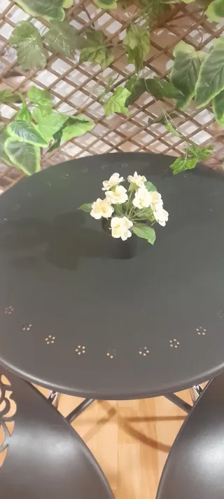 Gioco da Tavolo da Giardino con 2 Sedie Metalliche