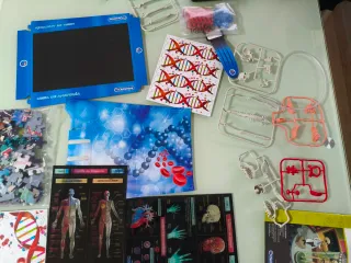 Laboratorio de Anatomía Clementoni