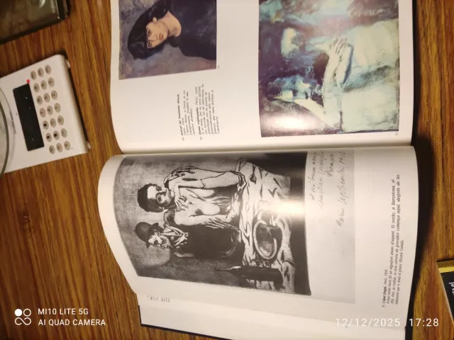 Libro Picasso Edición Centenario 1881-1981