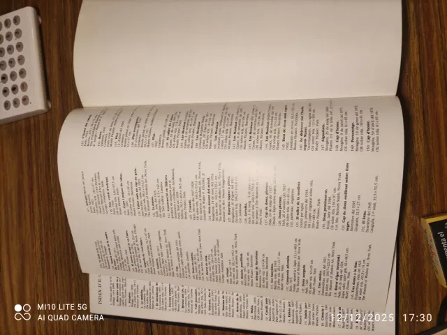 Libro Picasso Edición Centenario 1881-1981