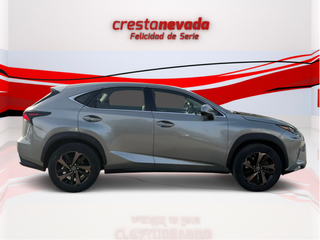 Lexus NX 2019 ¡¡Desde 505€/mes!!
