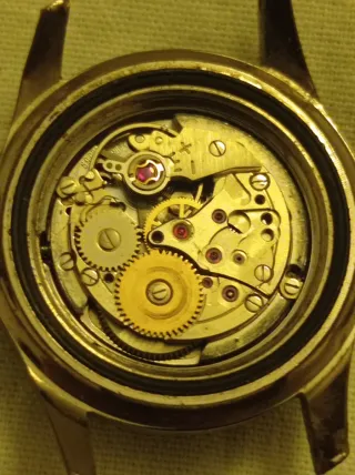 Orologio diver lady anni '50 Eta 2369