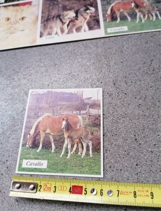 Tombola degli Animali gioco bambini