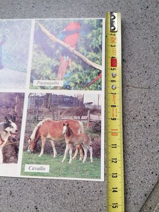 Tombola degli Animali gioco bambini