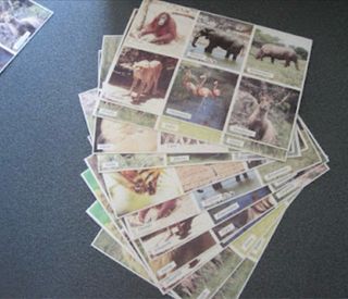 Tombola degli Animali gioco bambini