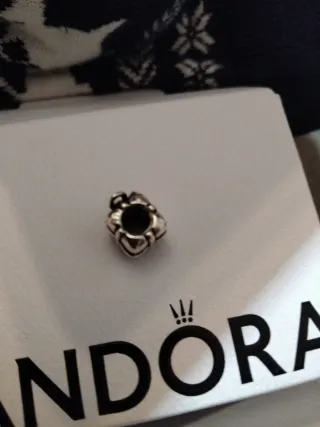 Pandora Caja de Regalo Plata