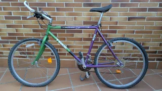 Bicicleta Trek Antelope 830 Viola/Verde
