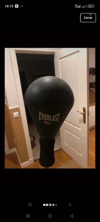 Saco de boxeo Everlast