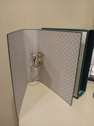 Carpeta/archivador verde con diseño