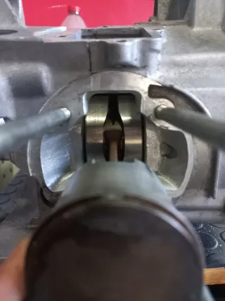 Motor Malossi MHR 7T