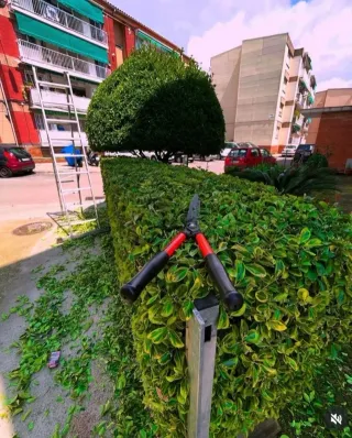 Jardinero   /    Gardner  / Jardinier