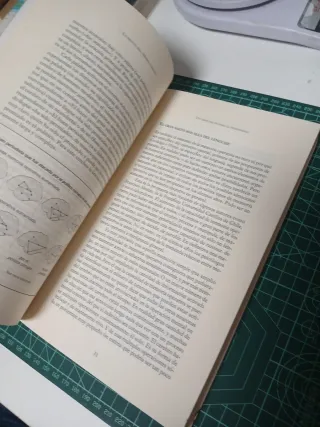 La mente del homo sapiens: el cerebro y la evol...