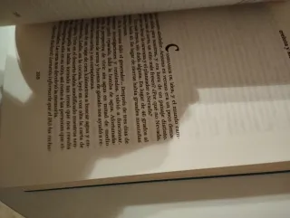 Libro Puente al infinito