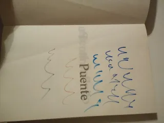 Libro Puente al infinito