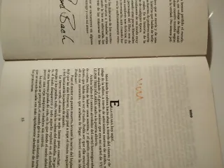 Libro Puente al infinito