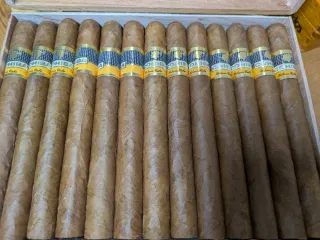 Scatola di Sigari Cubani