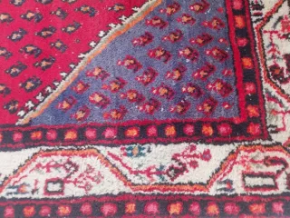 Tappeto persiano lana rosso e viola