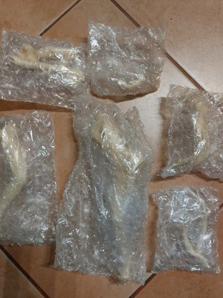 Asuka in Plugsuit 1/6 Resin Cast