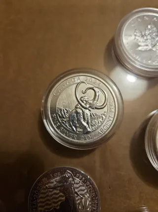 7oz Plata monedas bullion