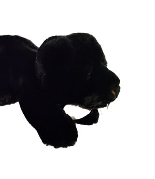 Peluche Pantera Nera Jellycat Little Paris
