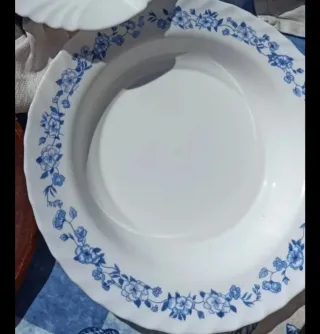 Fuente Arcopal Flores Azules