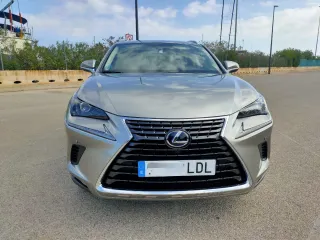 LEXUS NX 300h