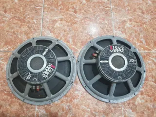 altavoces 15 pulgadas Peavey precio por los dos
