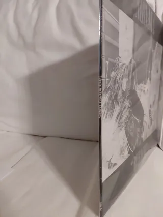 Nirvana Bleach Vinilo LP