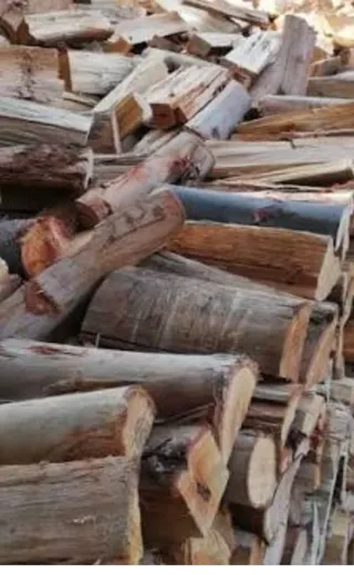 Leña de eucalipto para chimenea