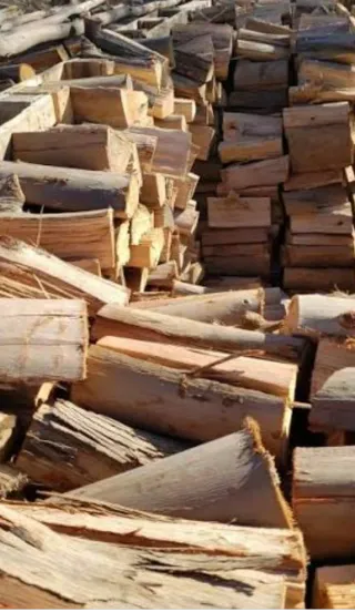 Leña de eucalipto para chimenea