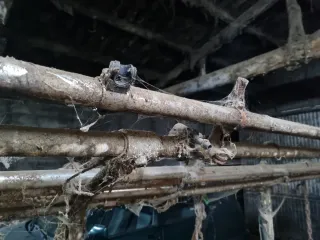 Circuito ordeño Alfa Laval