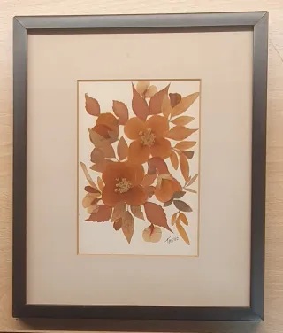 4 quadri con fiori secchi dell'artista TRELLO