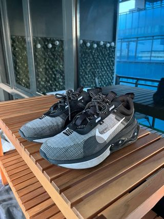 Zapatillas Nike Air Max 2090 Wolf Grey
