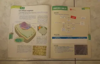 Libro scolastico Biologia Materia Uomo Ambiente