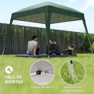 Recambio carpa verde