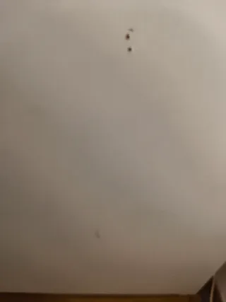 Cama Slakt 90x200 con almacenaje.