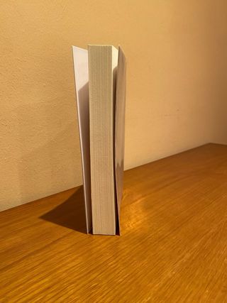 Libro El diari vermell del Flanagan Jaume Ribera