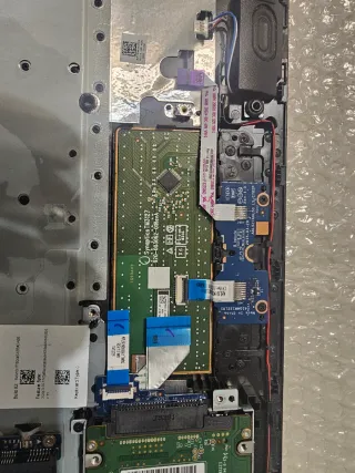 Scocca superiore tastiera viola HP