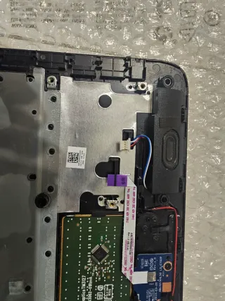 Scocca superiore tastiera viola HP