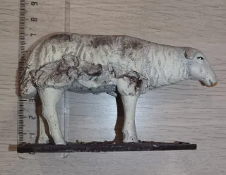 Ovejas Belén Barro, rebaño