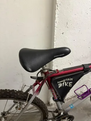 Bicicleta Montaña Orbea Adulto