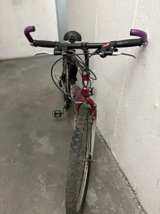 Bicicleta Montaña Orbea Adulto