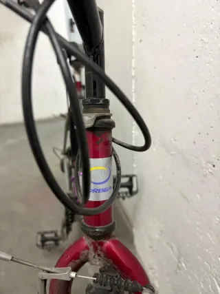 Bicicleta Montaña Orbea Adulto