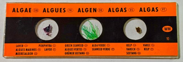 Microscopio Digital 1600x + Caja Muestras