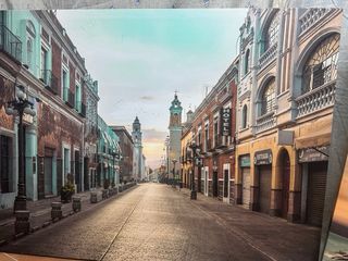 Set di 3 quadri decorativi su tela