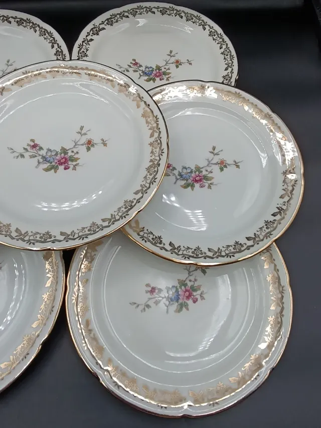 Set di piatti in porcellana francese