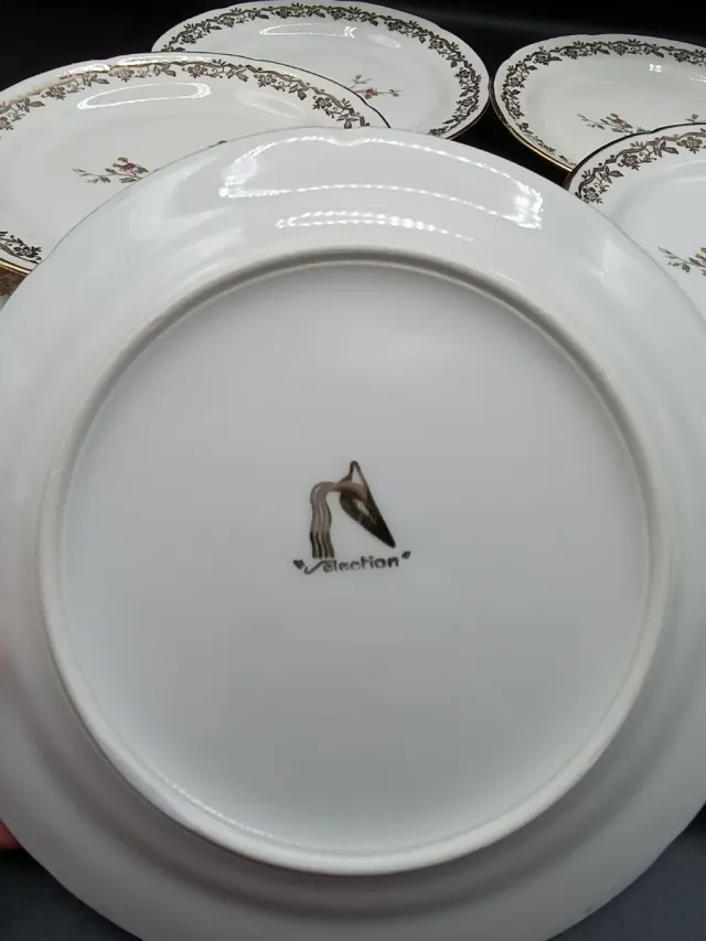 Set di piatti in porcellana francese