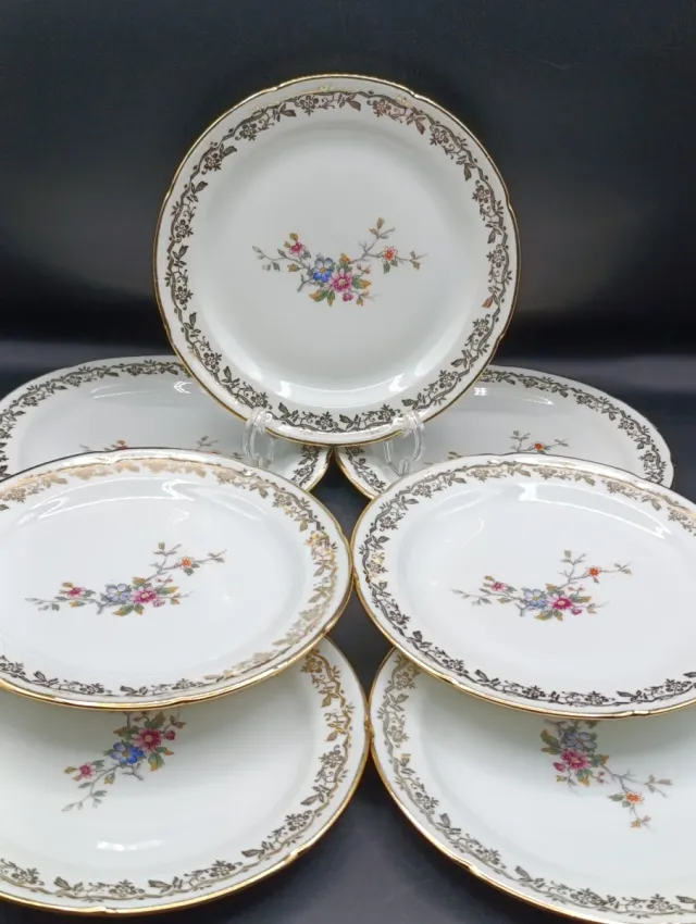 Set di piatti in porcellana francese