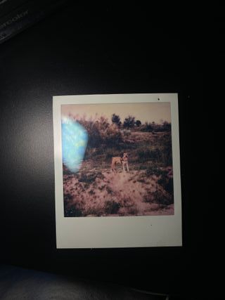 Fotocamera Polaroid Supercolor 635CL